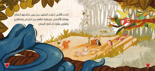 طائر الشمس كتب أطفال السيد إبراهيم 