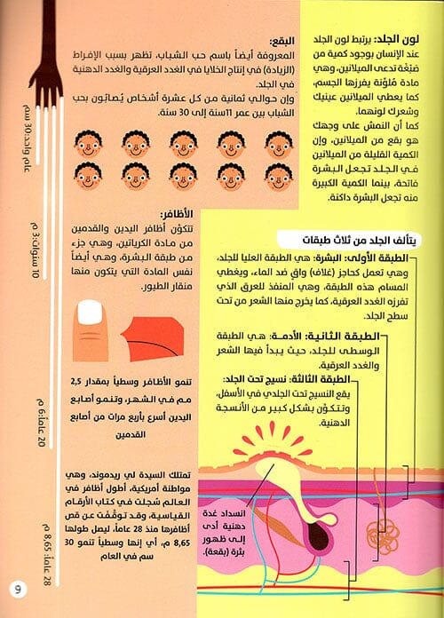 أرقام مذهلة في جسم الإنسان كتب أطفال باول روكيت 