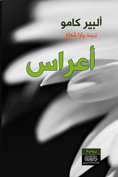 أعراس كتب الأدب العالمي ألبير كامو 