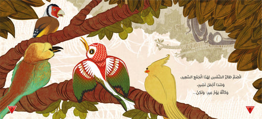 طائر الشمس كتب أطفال السيد إبراهيم 