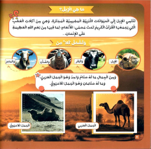 الحيوان في القرآن الكريم كتب أطفال زغلول النجار 