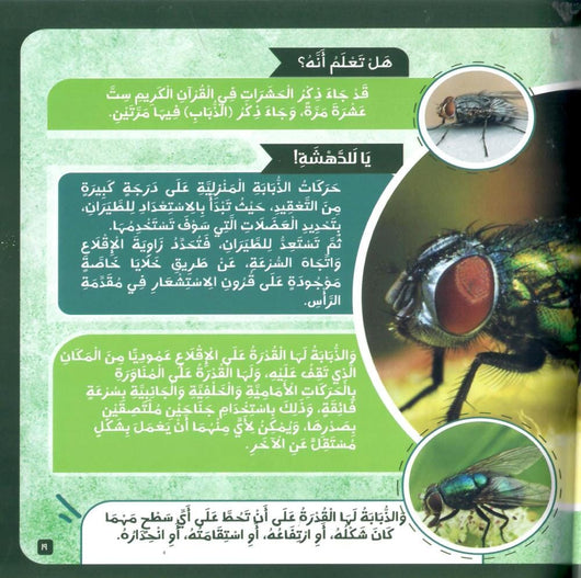الحيوان في القرآن الكريم كتب أطفال زغلول النجار 