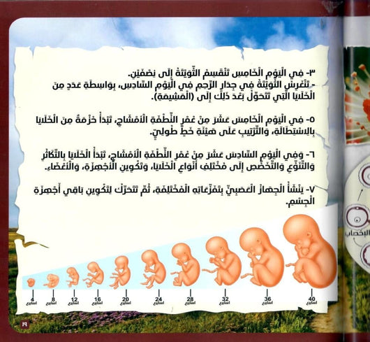 الإنسان في القرآن الكريم كتب أطفال زغلول النجار 