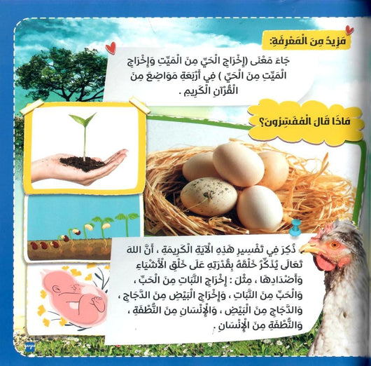 النبات في القرآن الكريم كتب أطفال زغلول النجار 