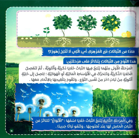 النبات في القرآن الكريم كتب أطفال زغلول النجار 