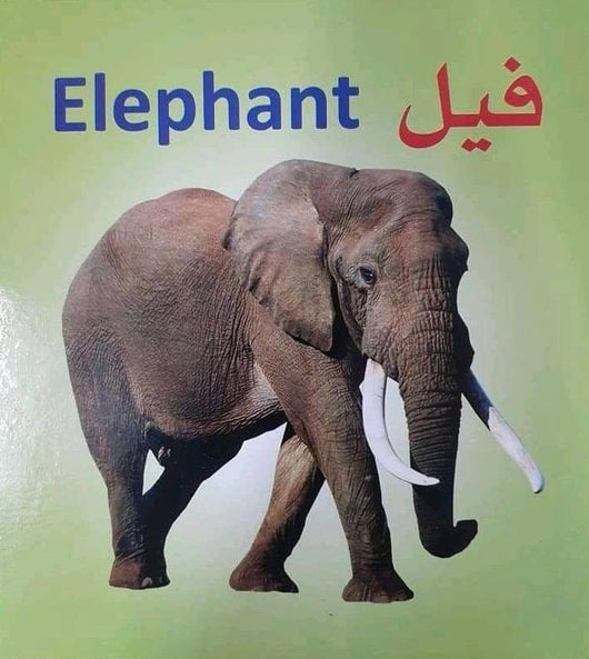 سلسلة تعلم معنا كتب أطفال دار جنة الأطفال للنشر والتوزيع