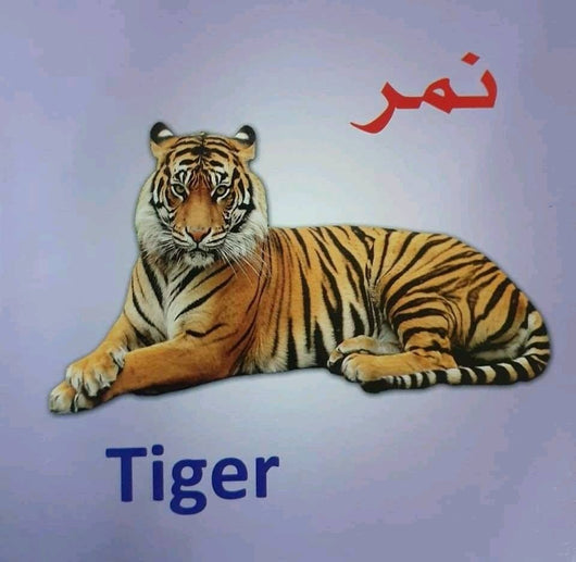 سلسلة تعلم معنا كتب أطفال دار جنة الأطفال للنشر والتوزيع