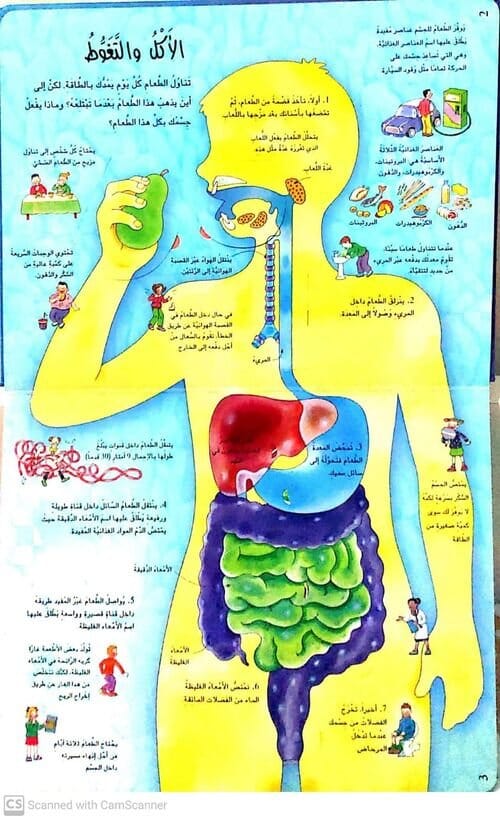 نافذة على جسم الإنسان كتب أطفال رنا جريجيري 