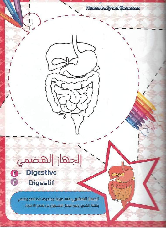 سلسلة الأذكياء : لون معنا وتعلم كتب أطفال إبداع للنشر والتوزيع