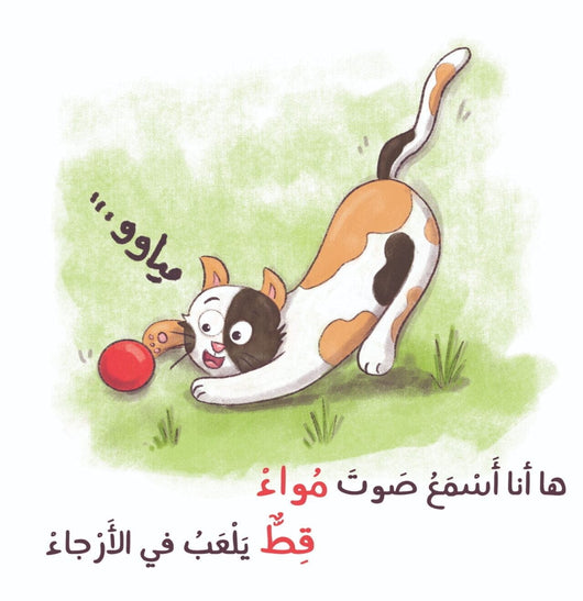 سلسلة ألحاني الأولى 1/12 كتب أطفال حلا سواس 