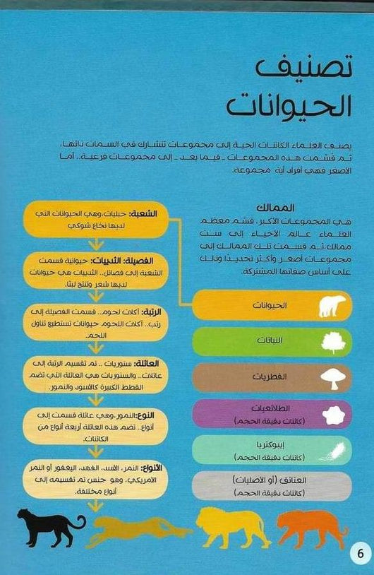 عالم البيانات التفاعلية : المملكة الحيوانية كتب أطفال جون ريتشارد - إد سيمكنز