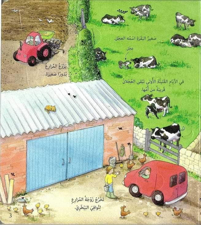 انظر داخل المزرعة : مع أكثر من 50 طيات تكشف ما وراءها كتب أطفال روب لويد جونز