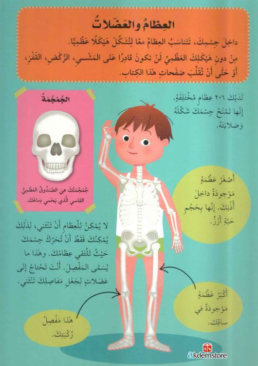 جسم الإنسان : كتاب أنموذج كتب أطفال دار مكتبة المعارف-ناشرون