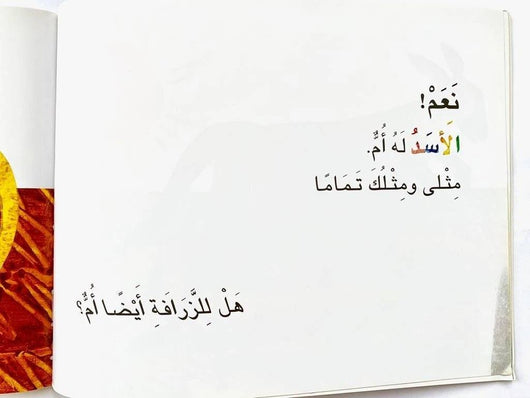 هل للكنغر أيضًا أم ؟ كتب أطفال إريك كارل