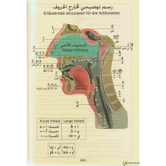 Quran Tajweed mit Übersetzung - مصحف التجويد مترجم إلى اللغة الألمانية Islamische Bücher القرآن الكريم 